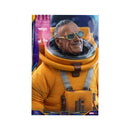 Hot Toys: Stan lee